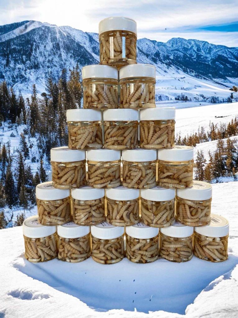 461194346_1034105104868818_4206531690113391902_n