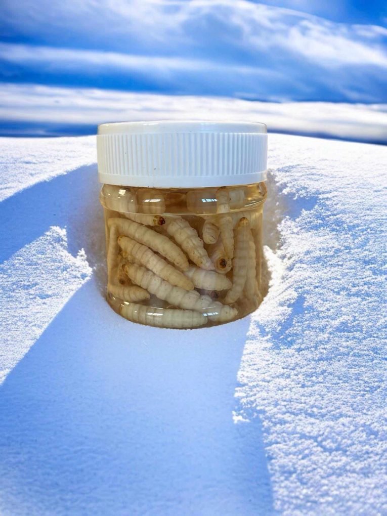 461273473_3400110590291174_6956777655206829622_n