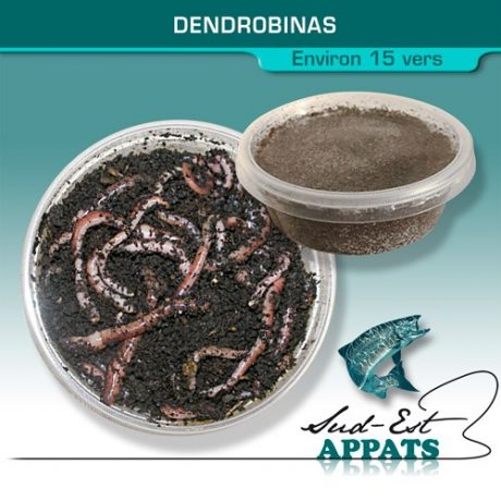 Dendrobinas boite de 15 vers