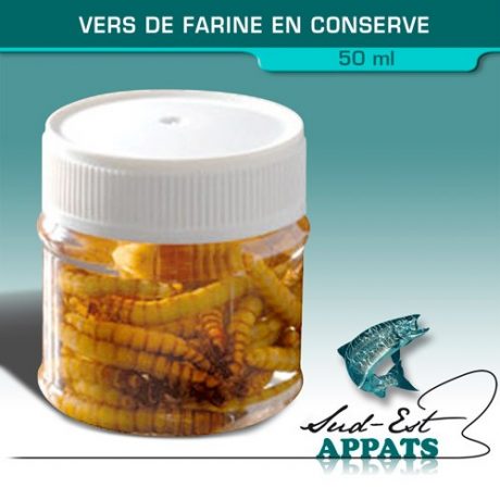 Vers de farine en conserves - 50ml