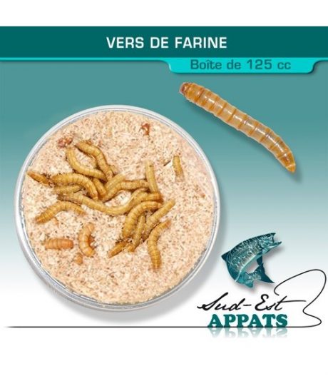 Vers de farine - Boîte de 125 cc