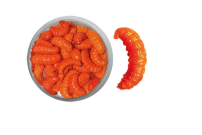 Teignes naturelles momifiées - Orange